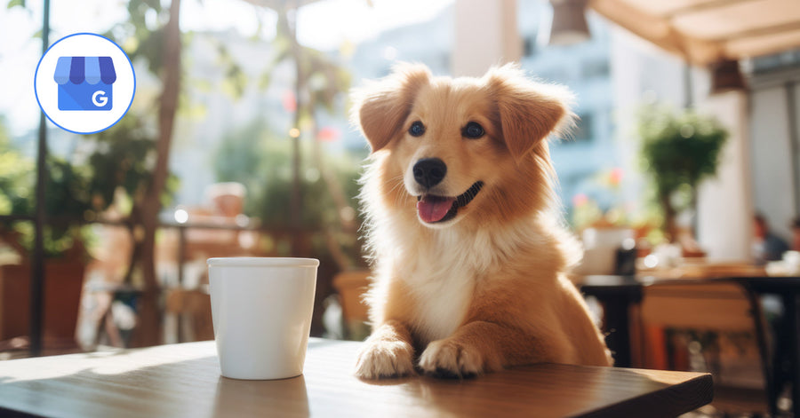 Google implementa un nuevo atributo en Google My Business: Se aceptan mascotas